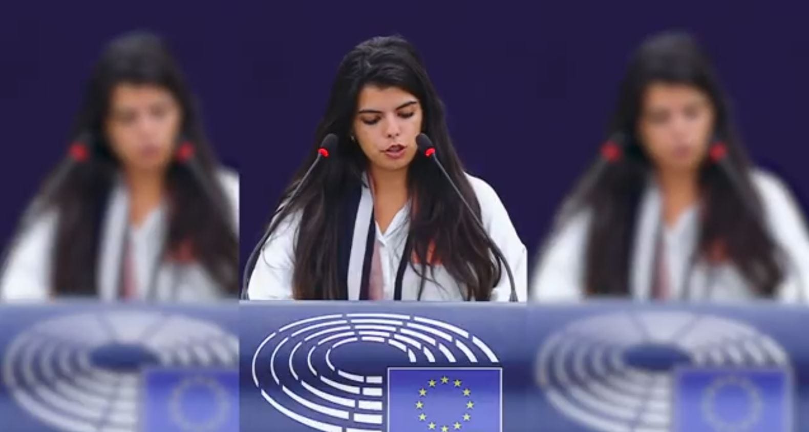 The Greens in European Parliament